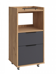 Тумба комбинированная К-33 дуб крафт золотой/графит