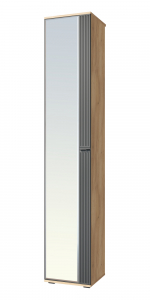 Пенал Эмилия ЭЛ-12К с зеркалом дуб крафт золотой/графит