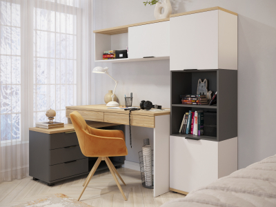 Комплект мебели Скайлайт СЛ-002 блэквуд ячменный/графит/белый/меренга