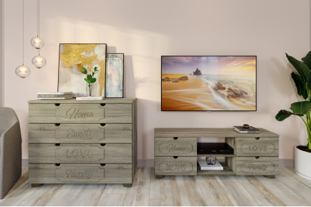 Гарнитур мебели для гостиной ДримСтар ДС-009