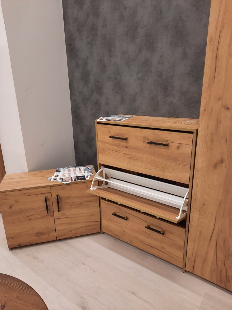 Шкаф под обувь Агата АТ-1 дуб крафт золотой