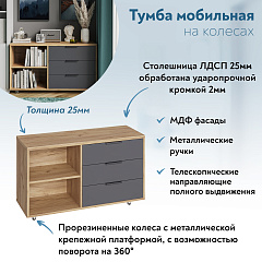 Тумба К-50 дуб крафт золотой/графит