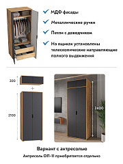 Шкаф для одежды Оптима ОП-14 дуб крафт золотой/графит