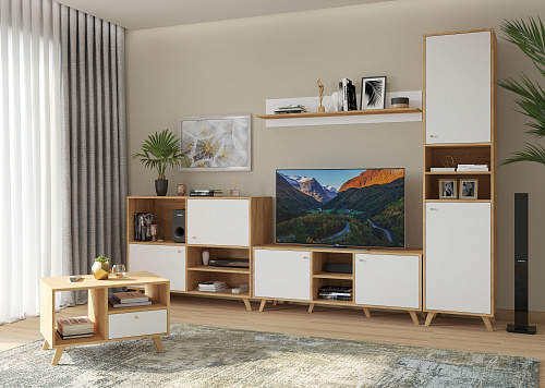 Гарнитур для гостиной Ирма ИР-002