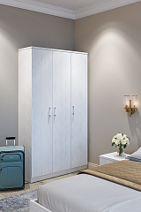 Шкаф трехдверный для одежды Виктория ВИ-9 северное дерево светлое