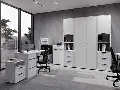 Шкаф для одежды Оптима ОП-01 белый структурный/меренга