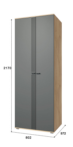 Шкаф для одежды Эмилия ЭЛ-16К глухой дуб крафт золотой/графит